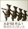 ウシさんのラインダンス