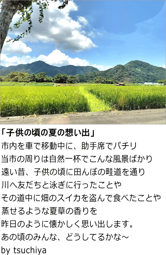 ツチヤ画像